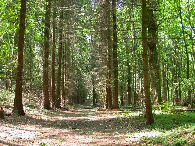 Uscita domenicale...